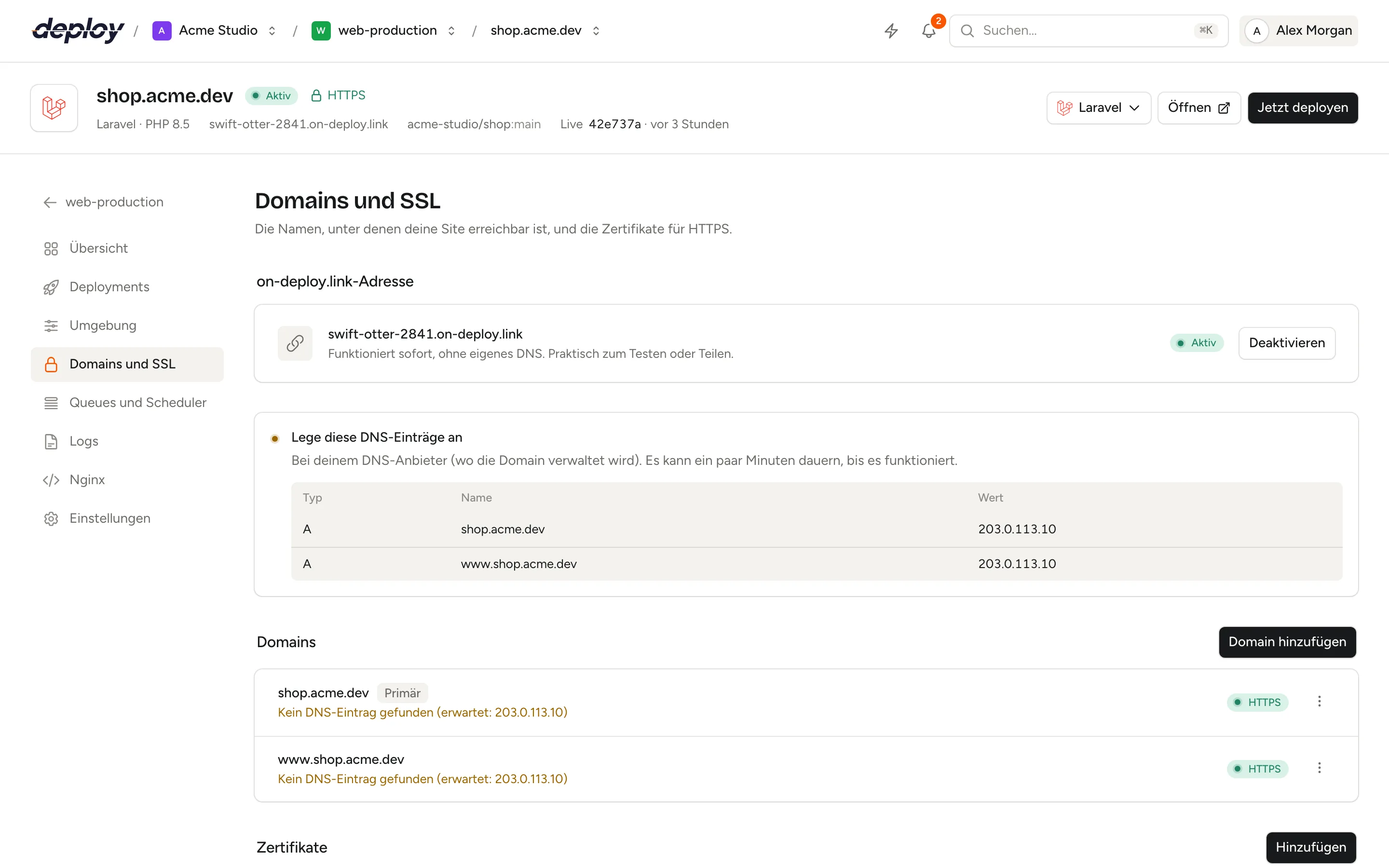 Die Seite Domains und SSL mit der generierten Adresse, den Domains der Site und ihren Zertifikaten