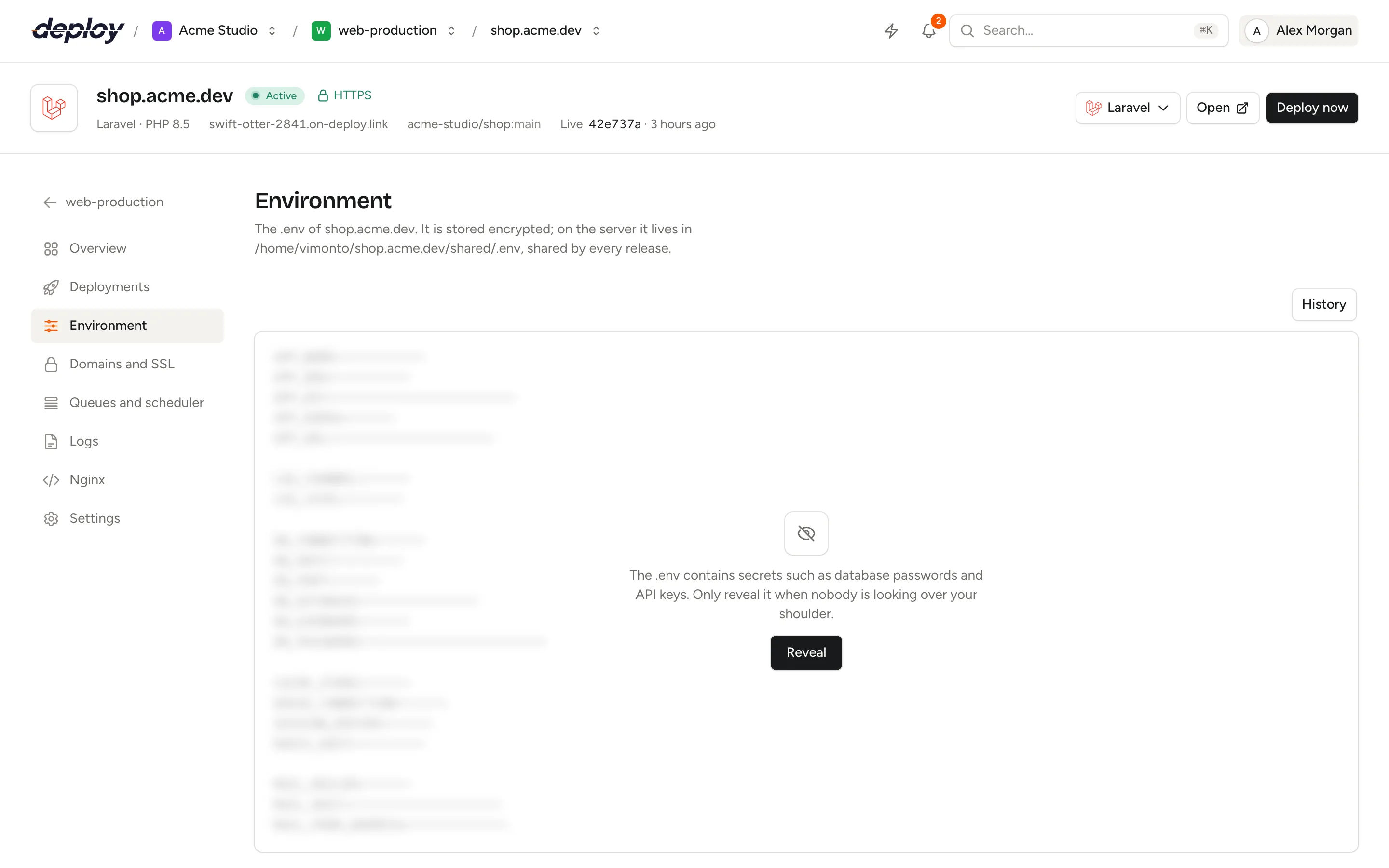 The Environment page with the .env editor