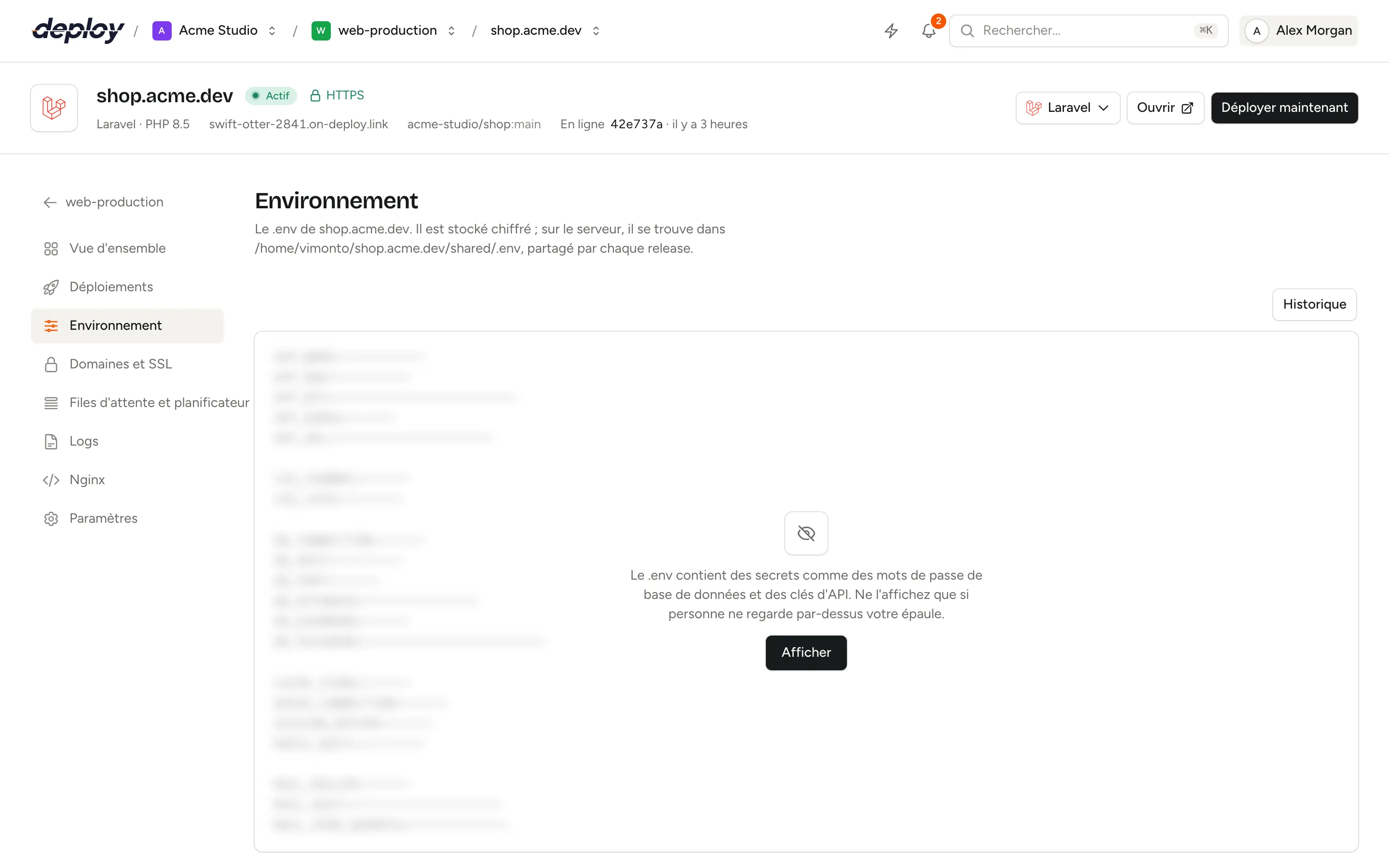 La page Environnement avec l'éditeur du .env