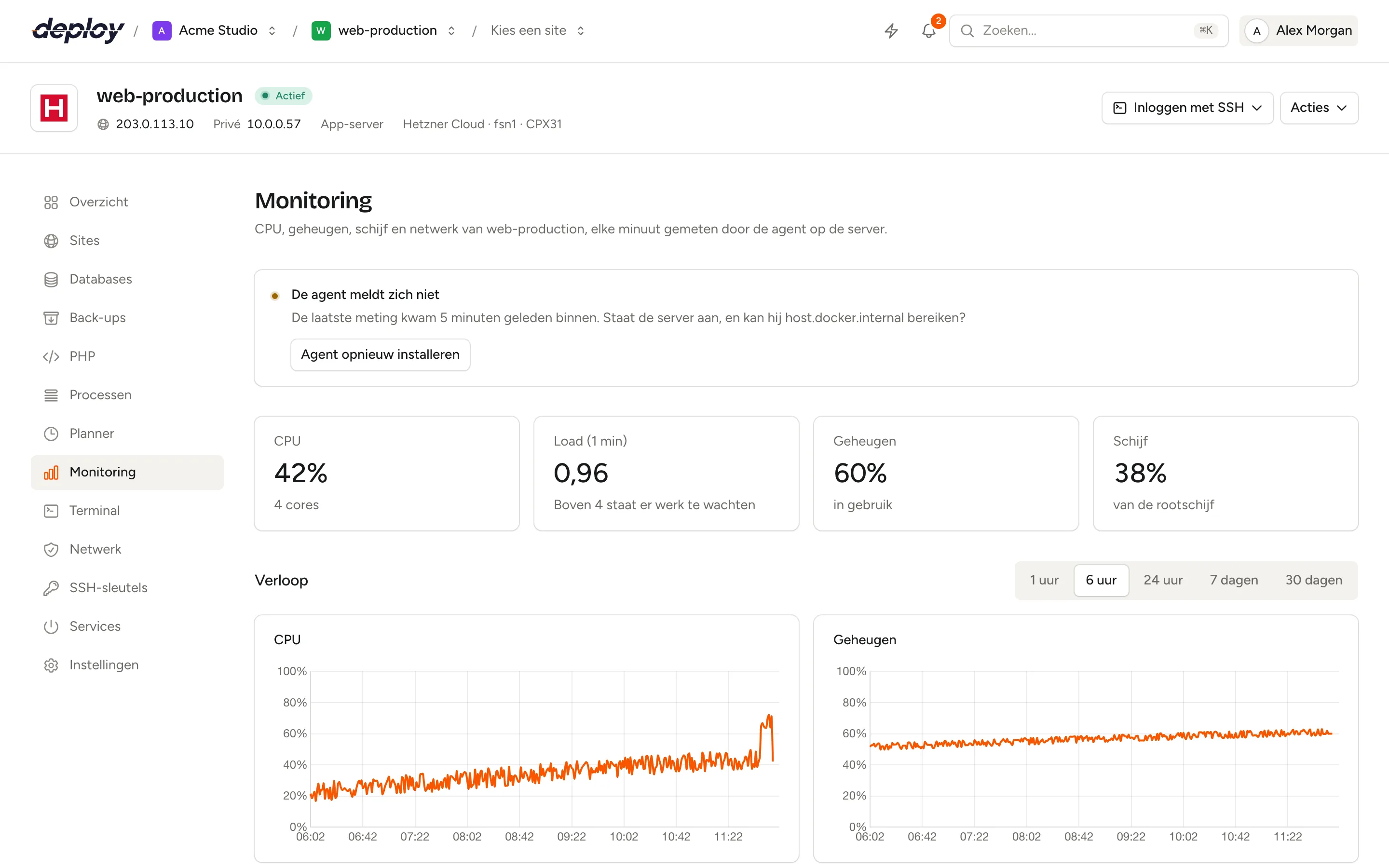 De pagina Monitoring van een server met cijfers voor CPU, load, geheugen en schijf, grafieken van het verloop, een lijst met monitors en een heartbeat met zijn ping-URL