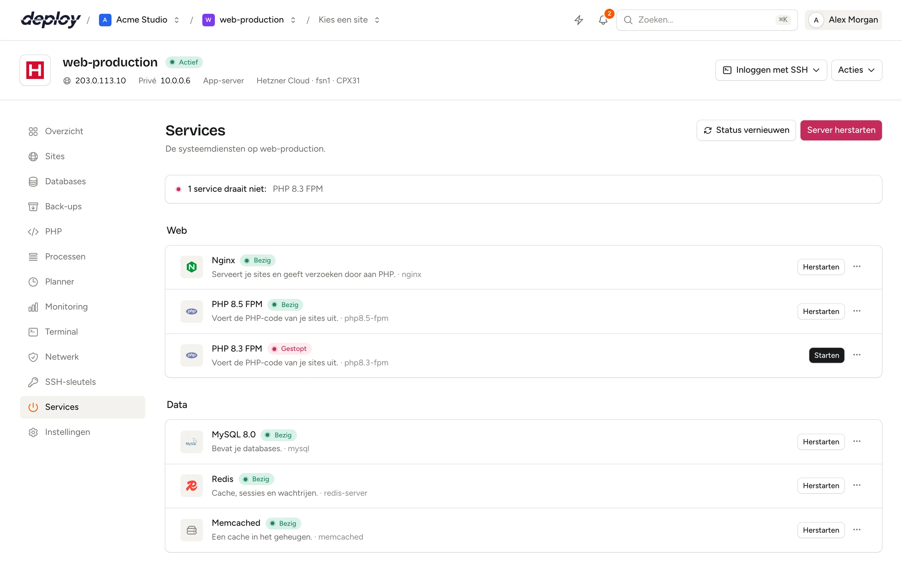 De pagina Services van een server, met een samenvattende regel dat alle services draaien, daaronder Nginx, PHP-FPM, MySQL, Redis en andere services gegroepeerd onder Web, Data en Systeem, elk met de status Bezig, een knop Herstarten en een menu