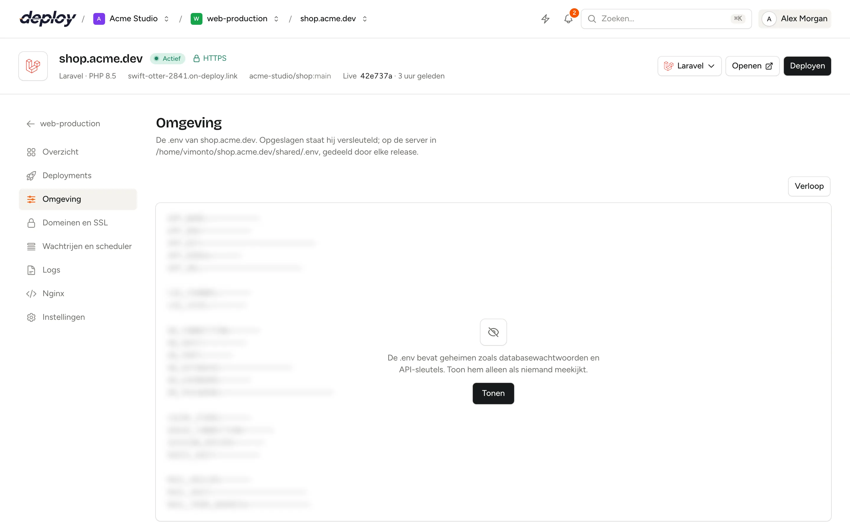De pagina Omgeving met de .env-editor